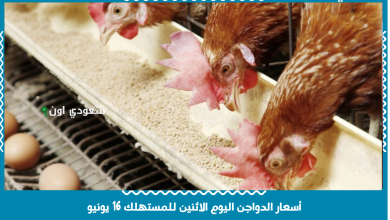أسعار الدواجن اليوم الاثنين للمستهلك 16 يونيو